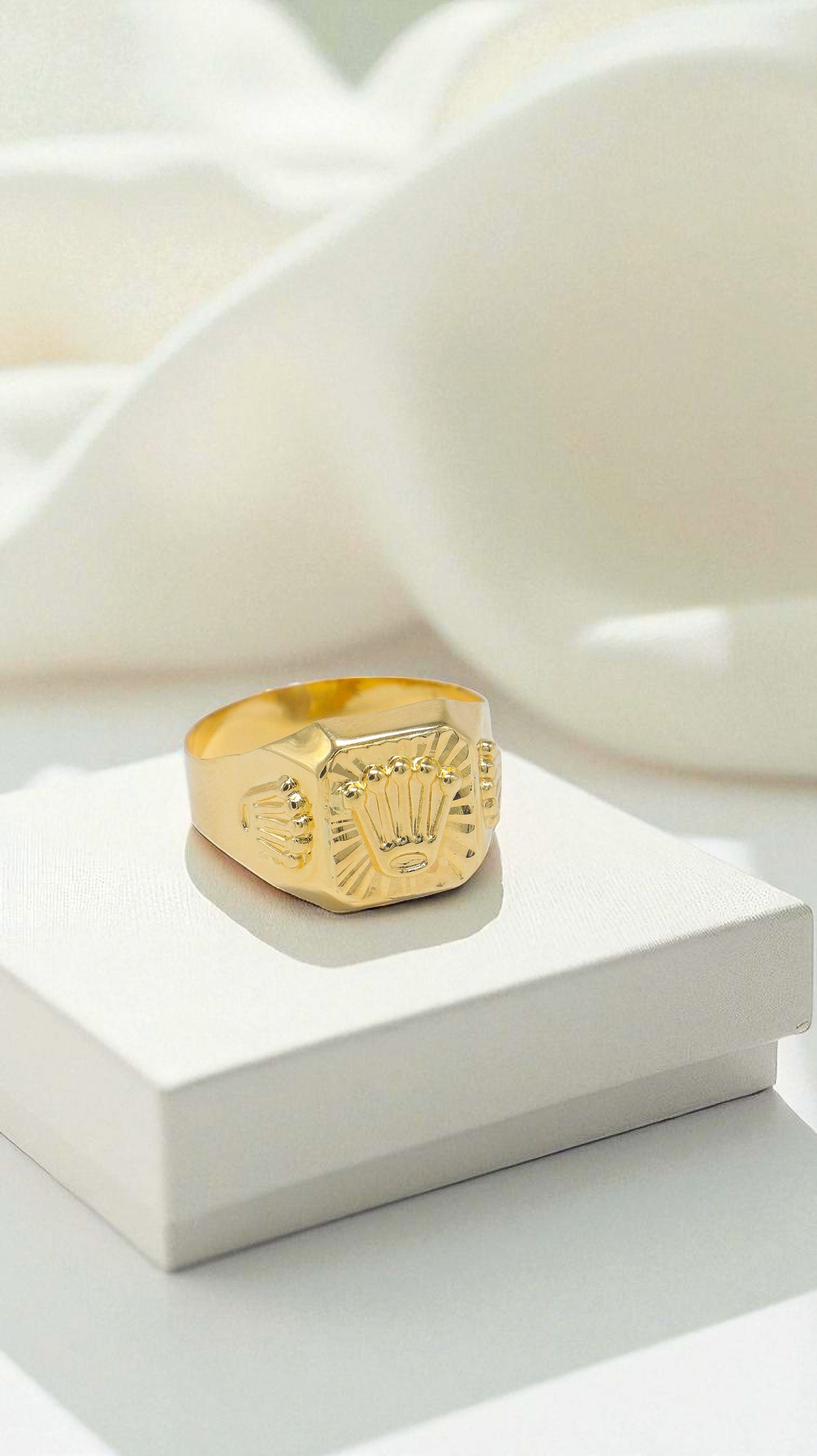 ANILLO CORONA RX / 3,6GR